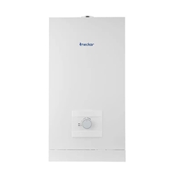 Calentador Estanco Neckar W10 AME - Imagen 1